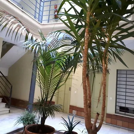 Appartement Calle Armas,9 *